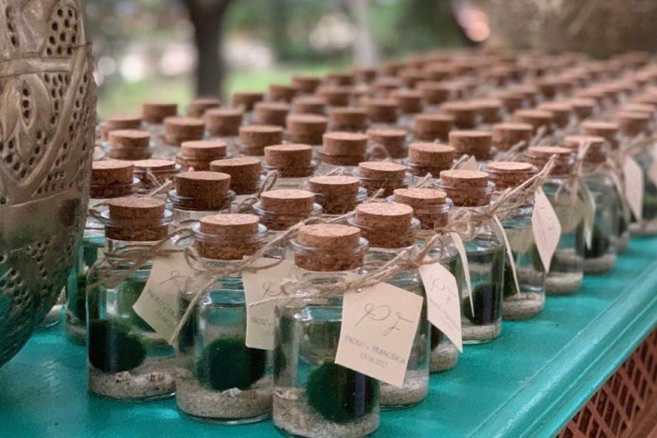 Bomboniera marimo