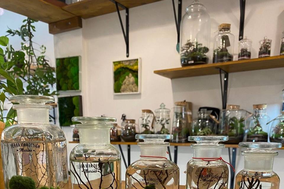 Marimo