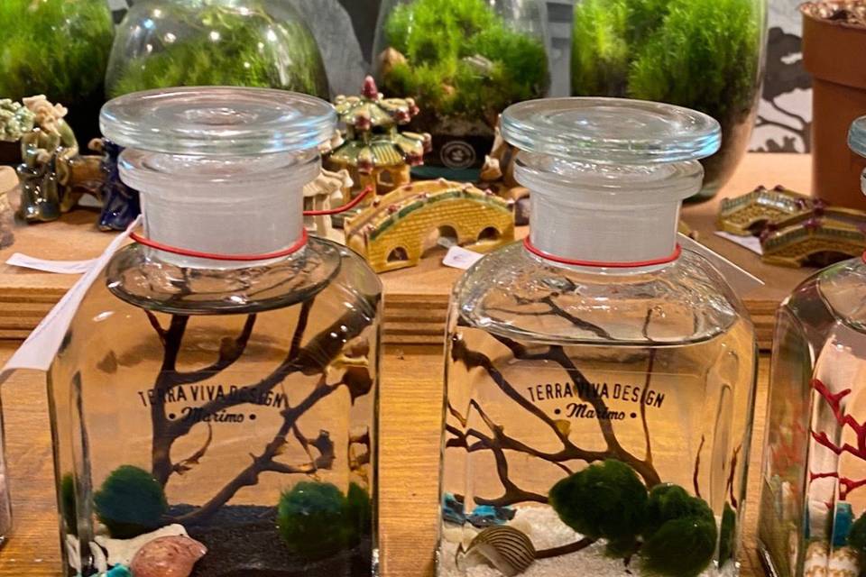 Marimo