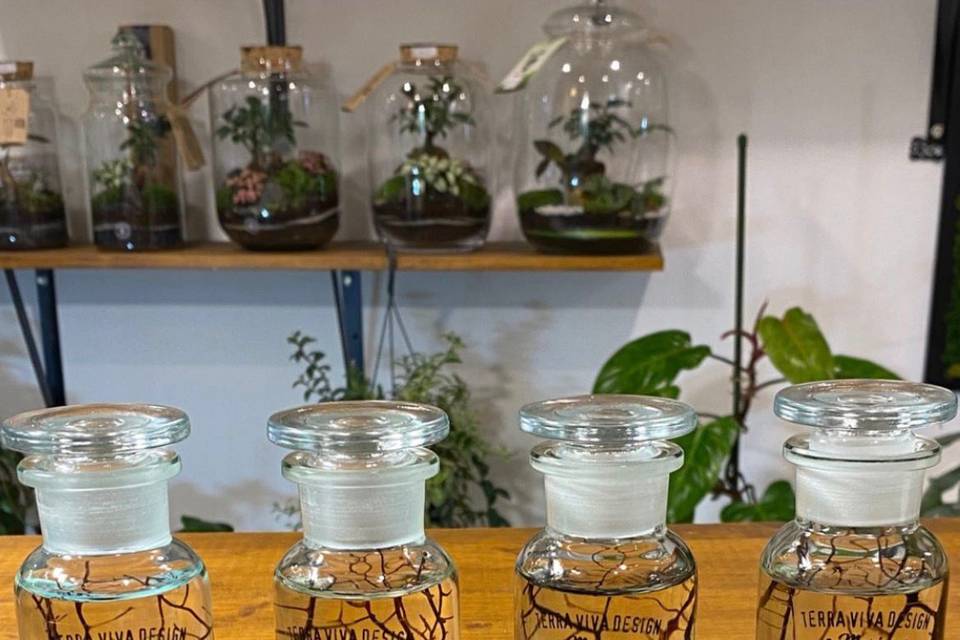 Marimo
