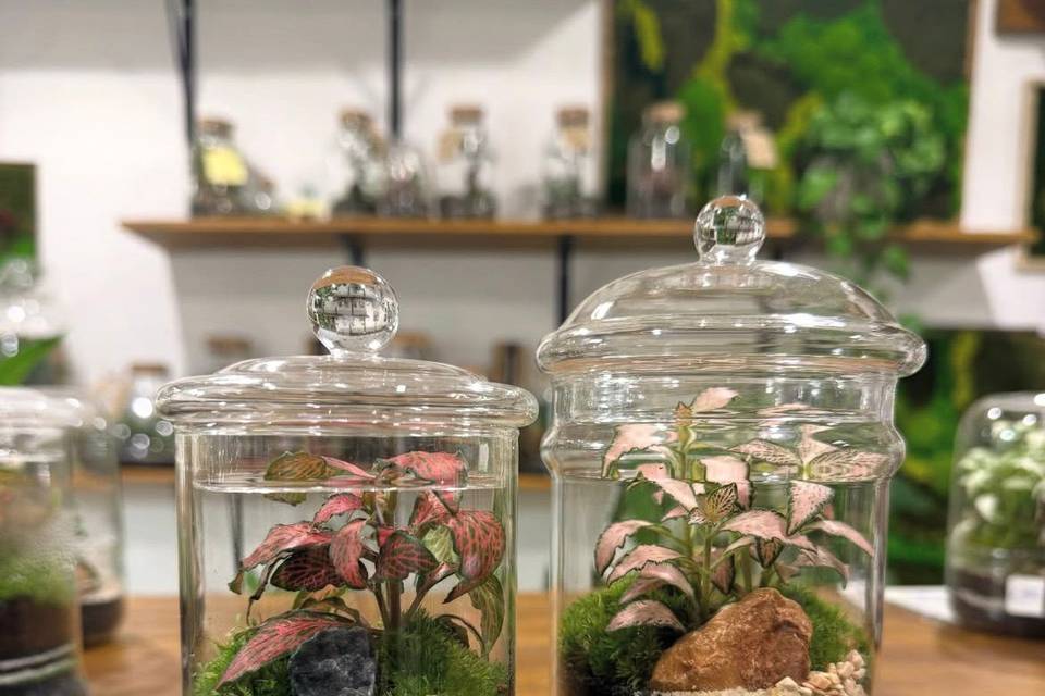 Micro