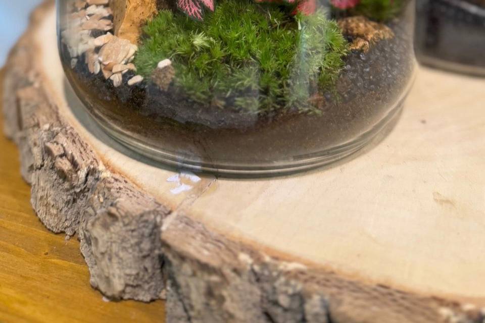 Terrarium