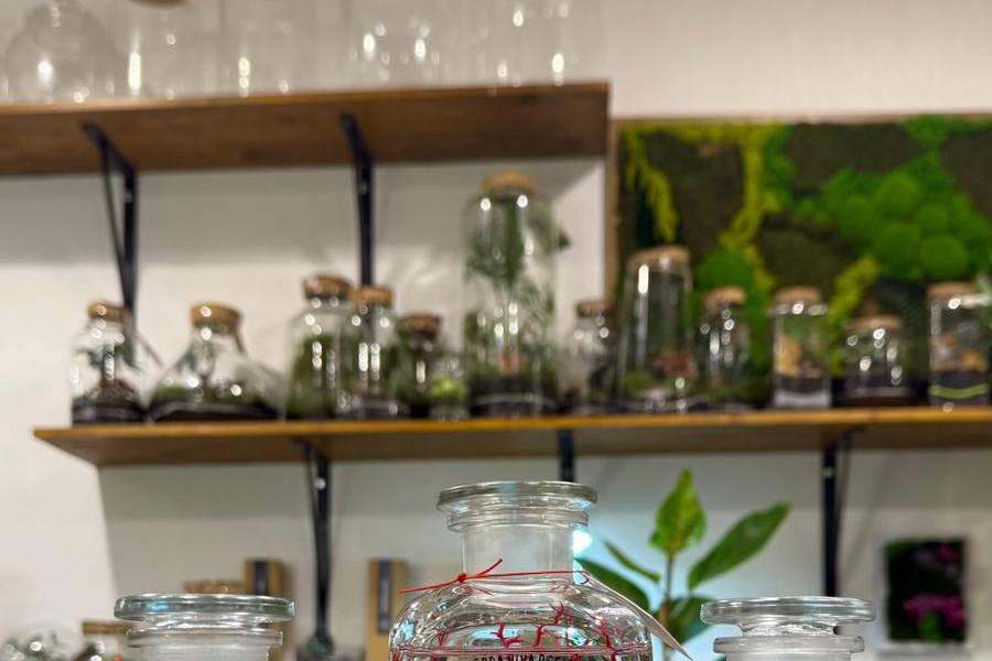 Marimo