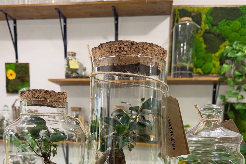 Terrarium