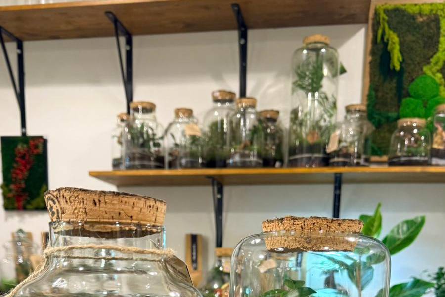 Terrarium