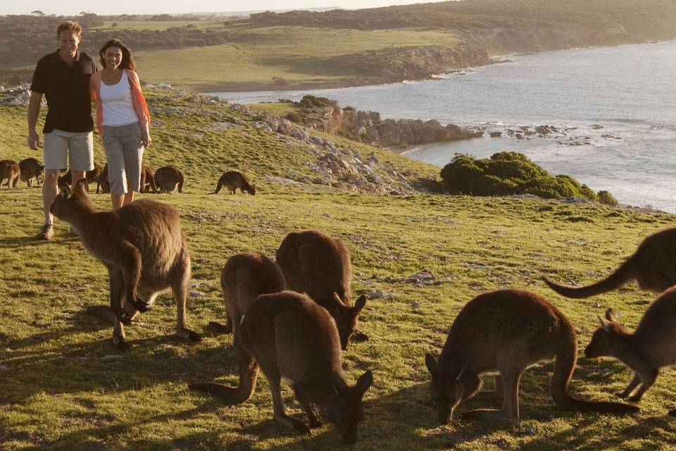 Australia, Kangaroo Island