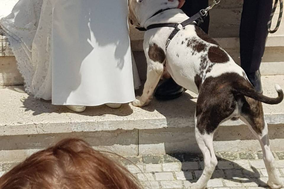 Finalmente Sposi