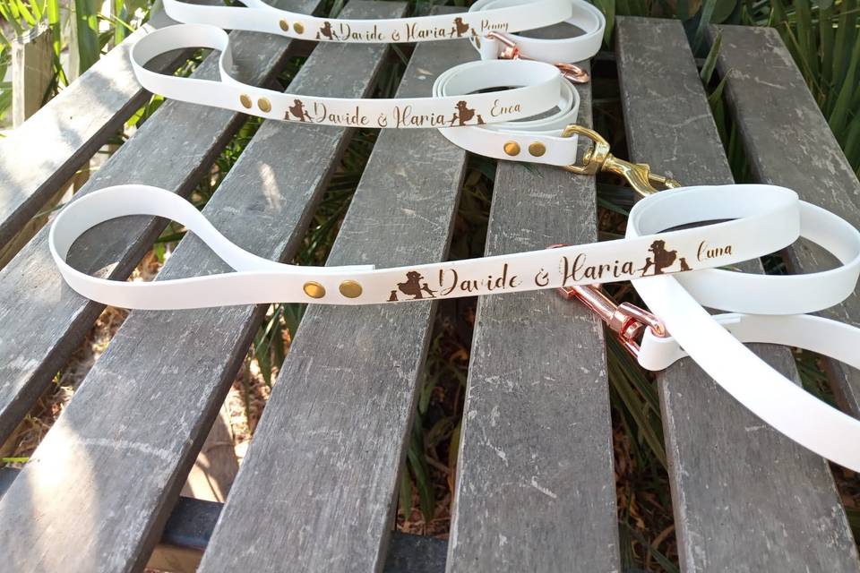 Set guinzagli