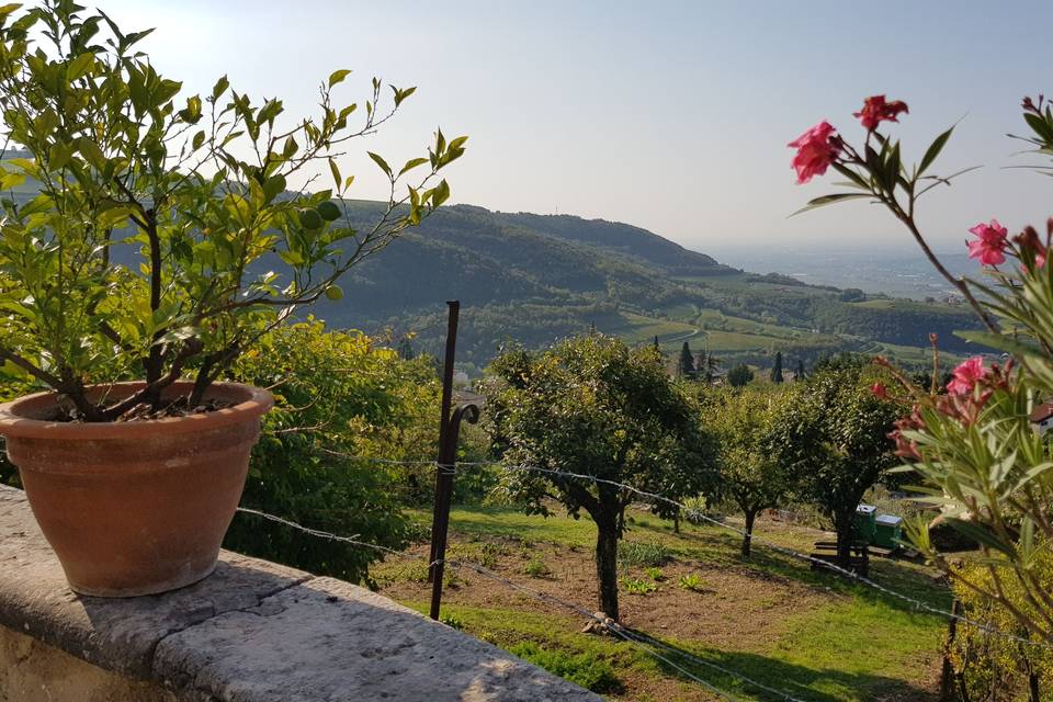 Giardino e Panorama