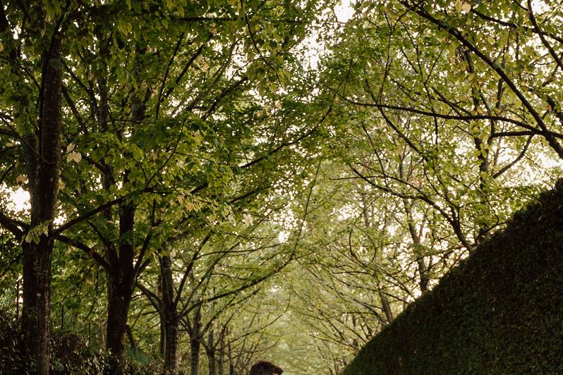 Parco Puccini Bonacchi