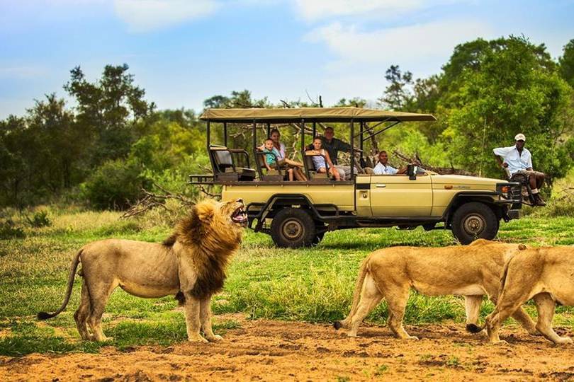 Sudafrica - Safari