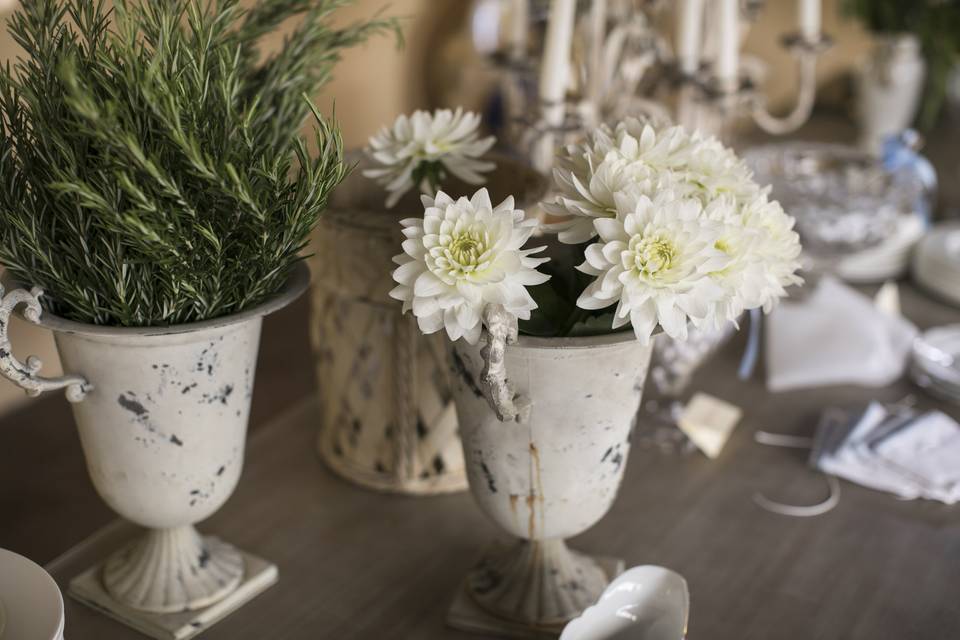 Profumi di rosmarino e fiori bianchi, sulla tavola