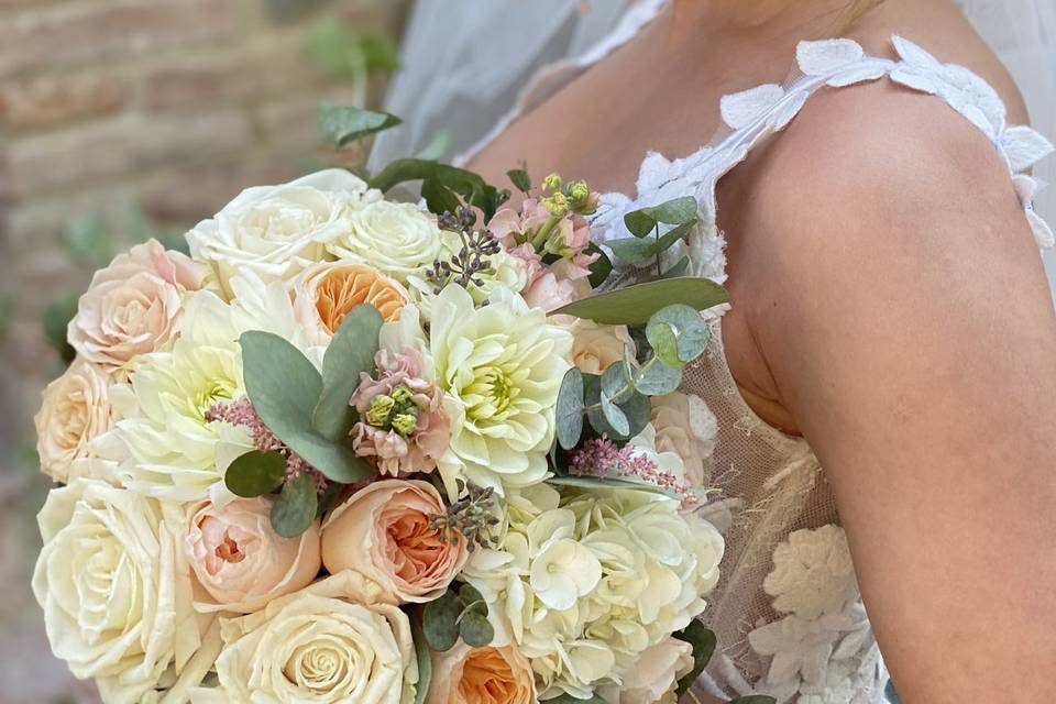 Bellissima Nina