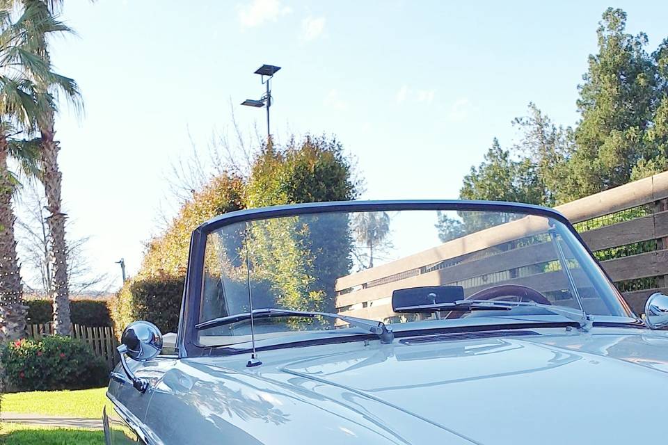 Fiat 1500 spider Pininfarina