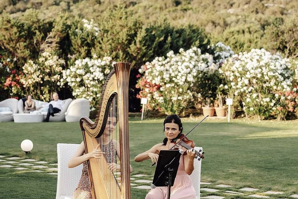 Arpa e Violino