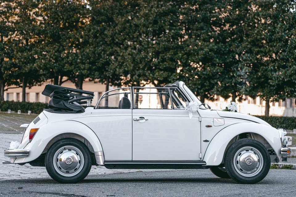 Noleggio auto