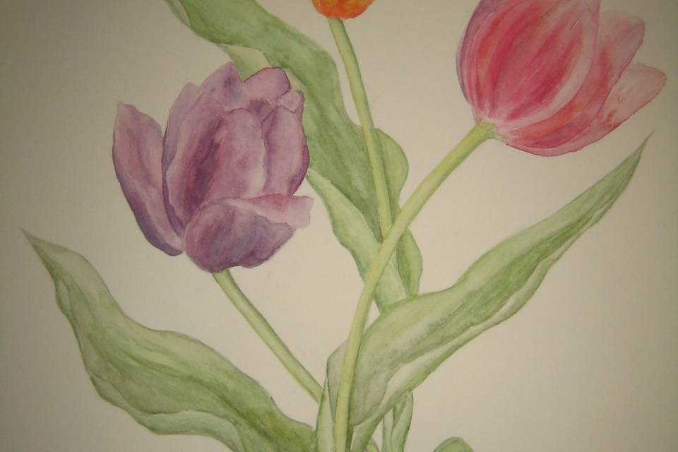 Tulipani - dipinto per stampa