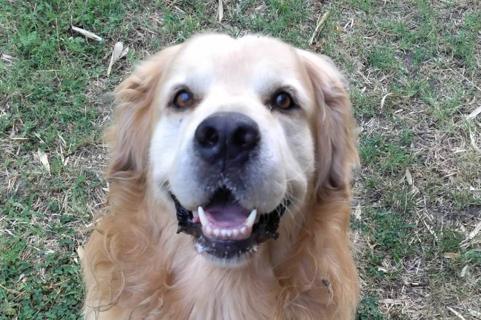 Artù..