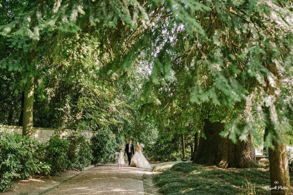 Sotto gli alberi