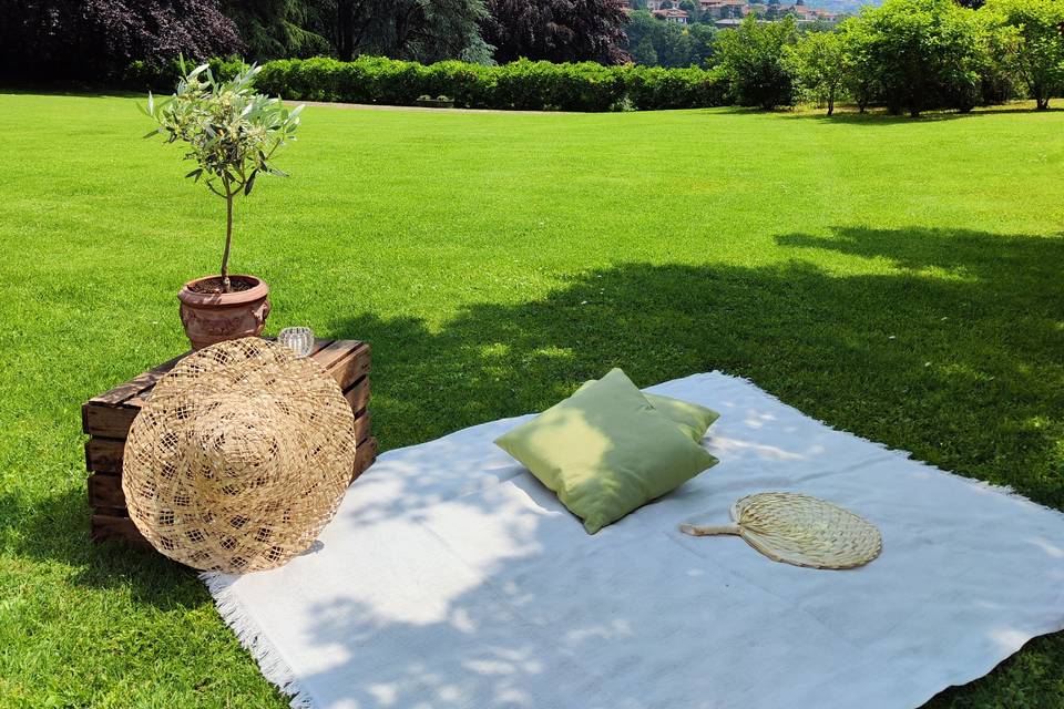 Pic nic