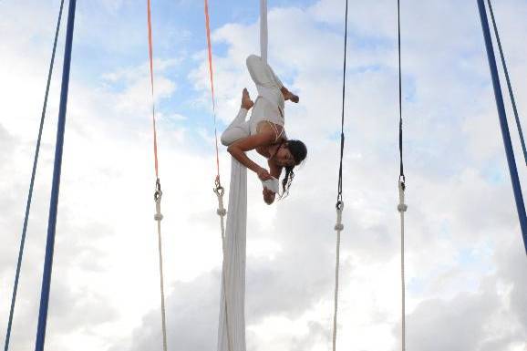 Acrobatica aerea - Tessuti - Cerchio aereo - Trapezio - Corda - Contattare  Artisti di Strada