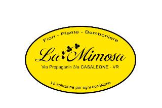 Logo Fioreria La Mimosa