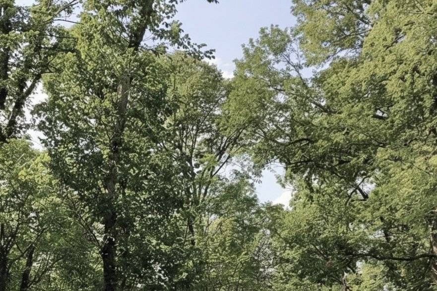 Qualche angolo del  parco