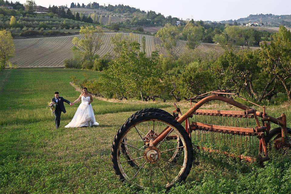 Agriturismo Il Vigneto