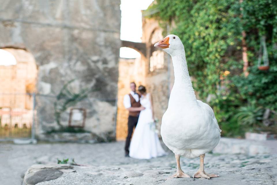 Fotografo matrimonio a Torino