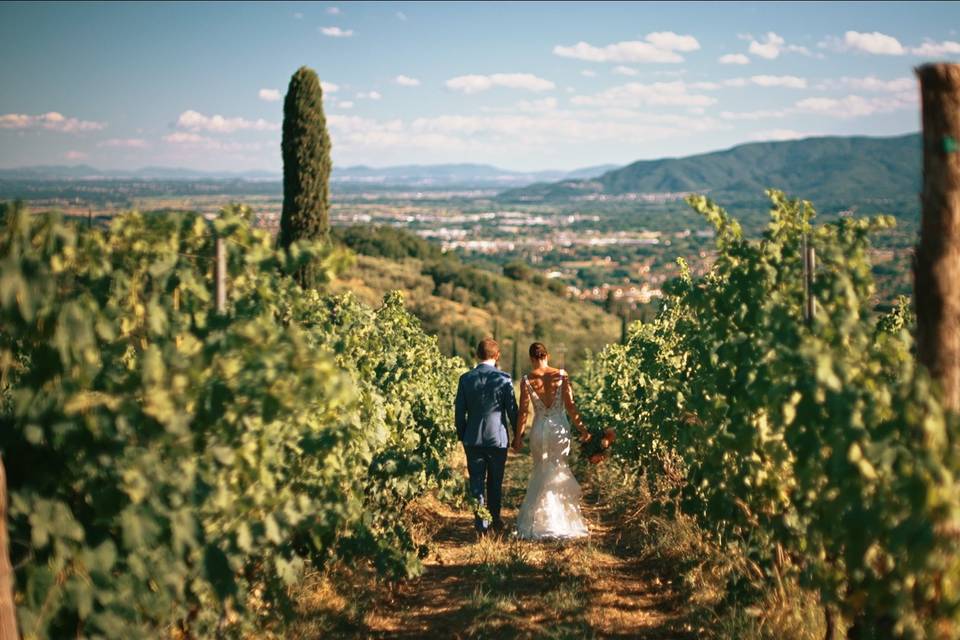 Vigne toscane