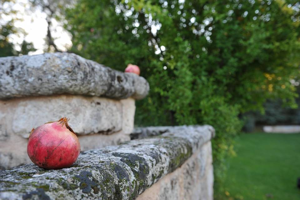 Dalla corte al parco