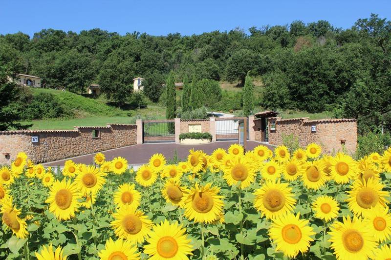 Tenuta Agrivillage