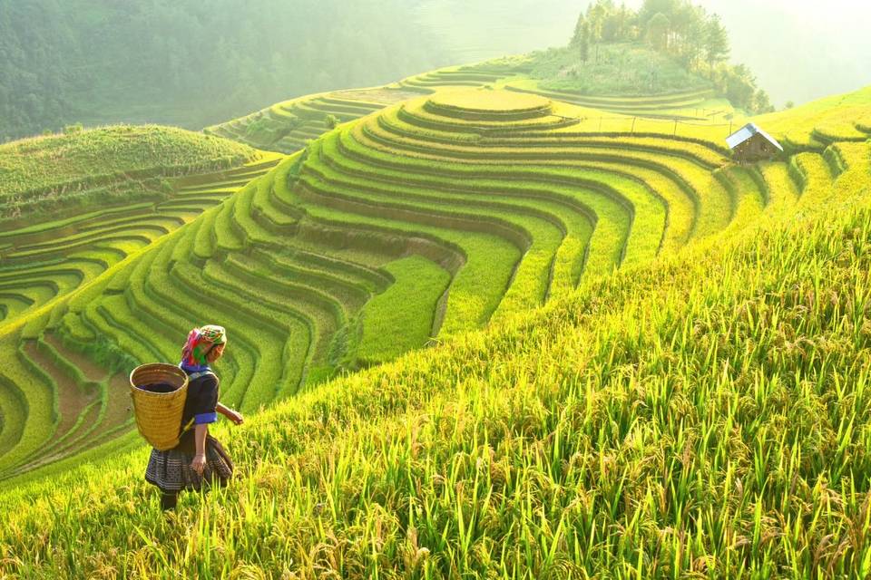 Bali | indonesia