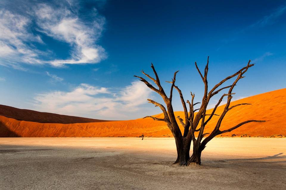 Deserto del namib | namibia