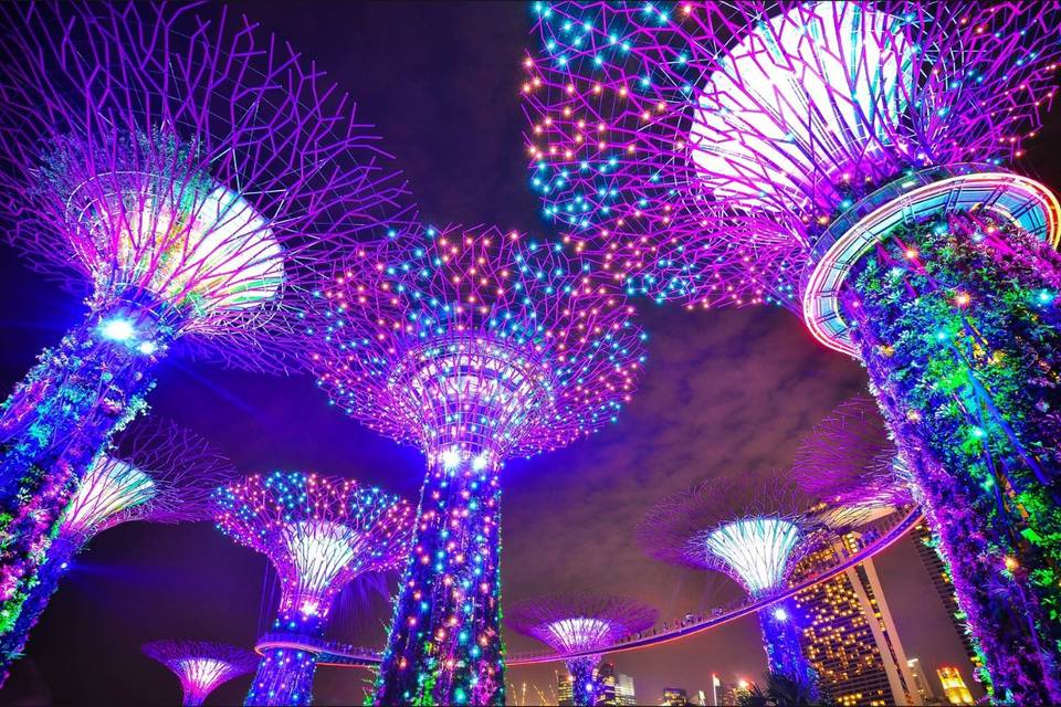 Gardens by the bay | singapore