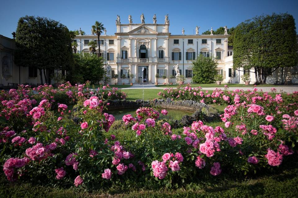 27 maggio iljaas elena verona