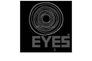 Logo 2eyes