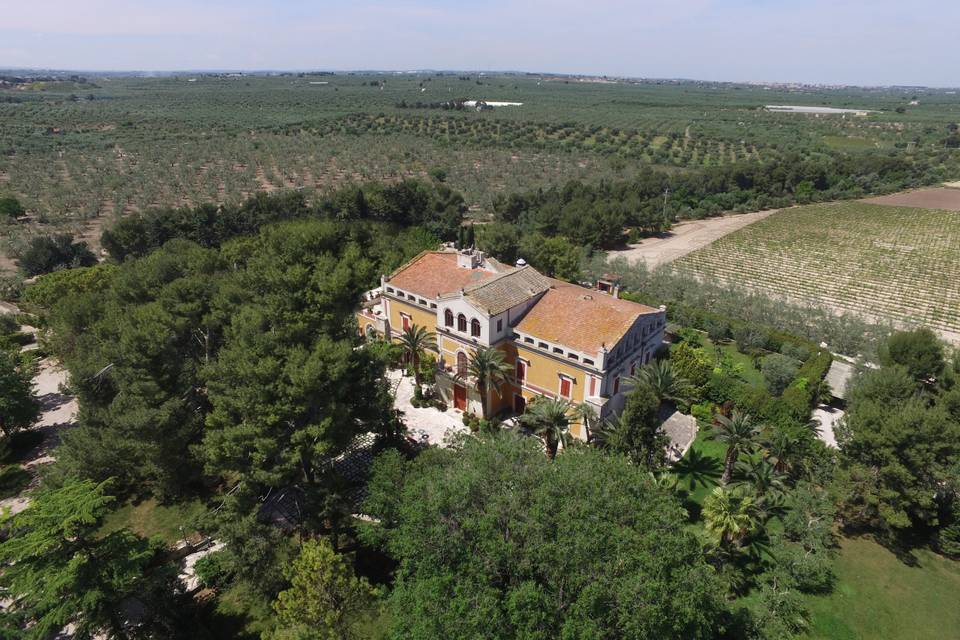 Villa Fenicia dall'alto