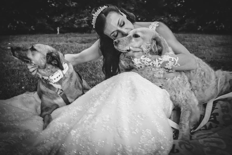 Dog sitter per Matrimoni Athena