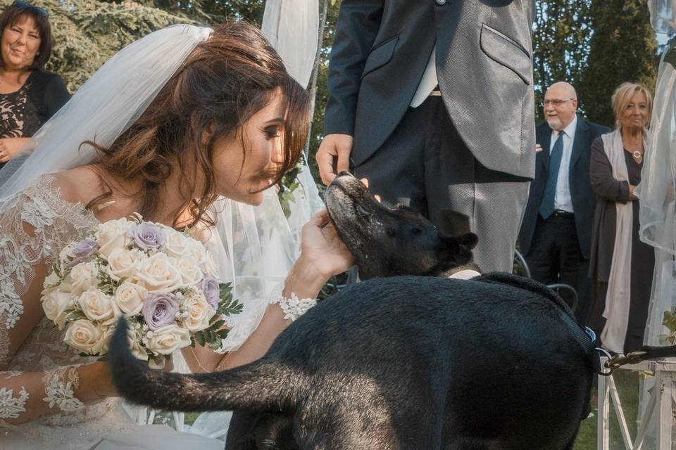 Dog sitter per Matrimoni Athena