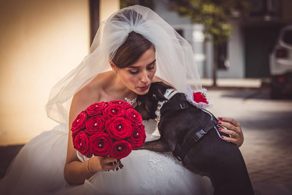 Pet photographer di athena®