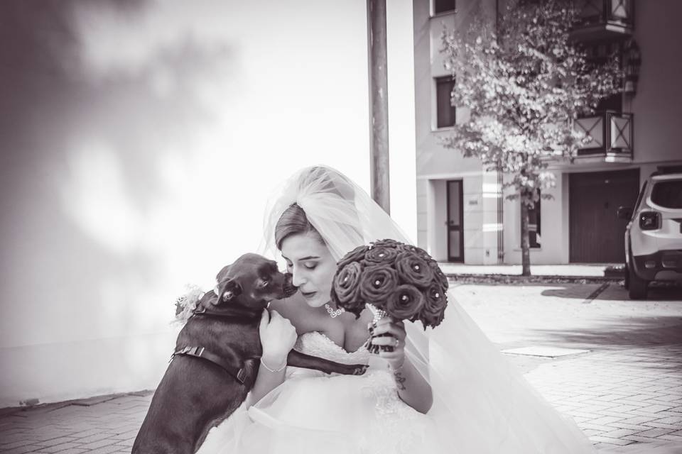 Dog sitter per Matrimoni Athena