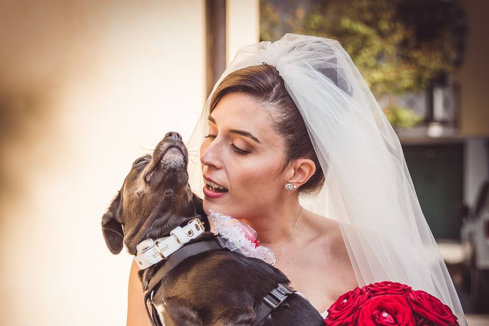 Dog sitter per Matrimoni Athena