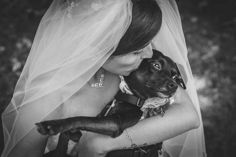 Dog sitter per Matrimoni Athena