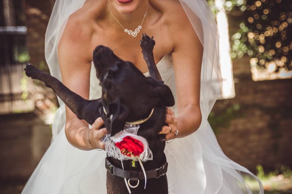 Dog sitter per Matrimoni Athena