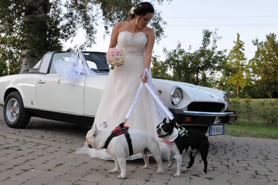 Dog sitter per Matrimoni Athena