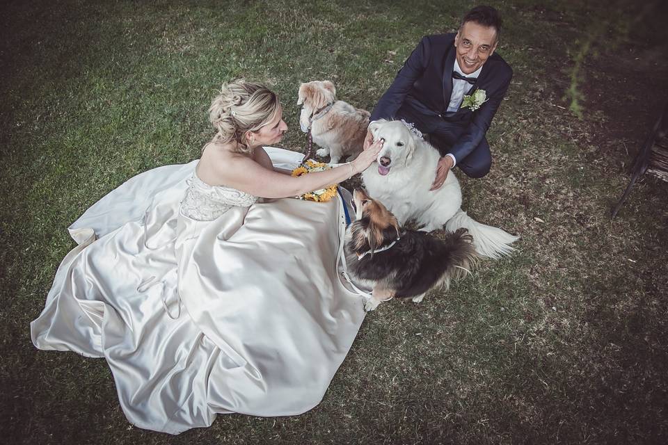 Dog sitter per Matrimoni Athena