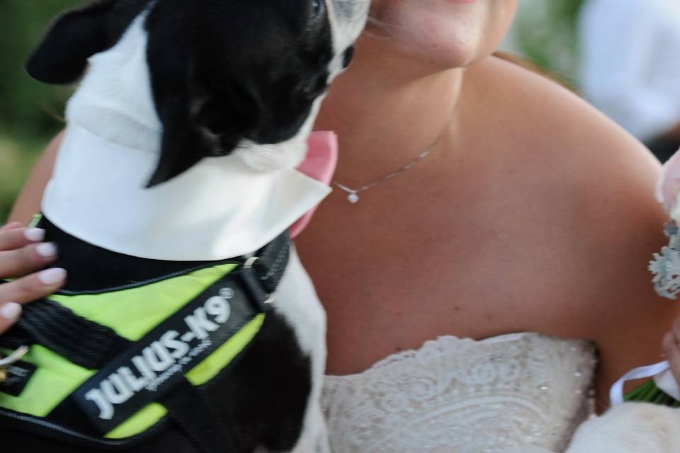 Dog sitter per Matrimoni Athena