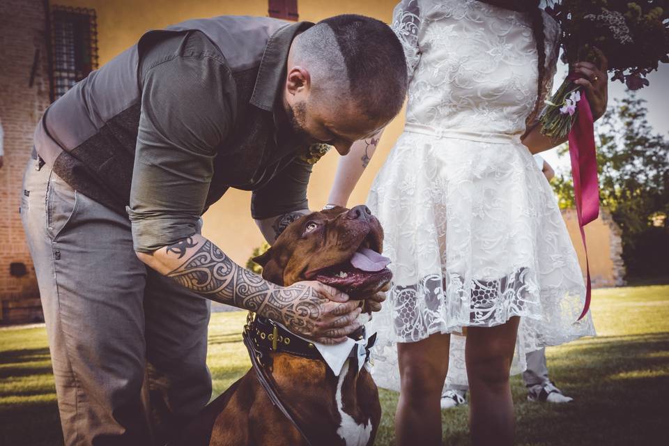 Wedding dog sitter per eventi