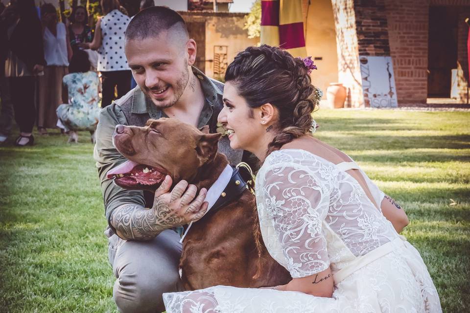 Wedding dog sitter per eventi